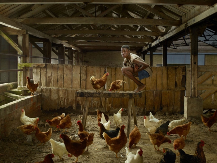 photography-wild-growing-with-animals-feral-children-julia-fullerton-batten-13
