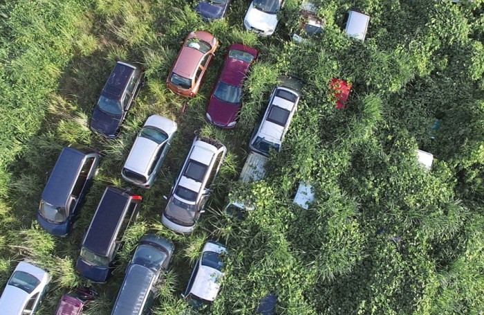nature-reclaim-fukushima-exclusion-zone-photos-arkadiusz-podniesinski-1