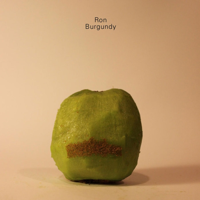 celebrities-politicians-carved-kiwi-fruit-anthony-chidiac-19