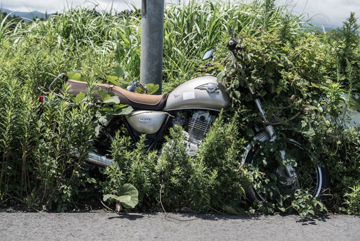 nature-reclaim-fukushima-exclusion-zone-photos-arkadiusz-podniesinski-20