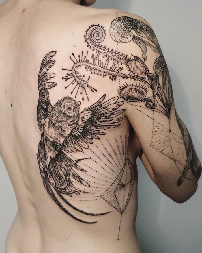 vintage-naturalistic-animal-plant-tattoos-pony-reinhardt-tenderfoot-2