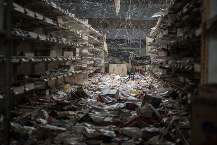 nature-reclaim-fukushima-exclusion-zone-photos-arkadiusz-podniesinski-15