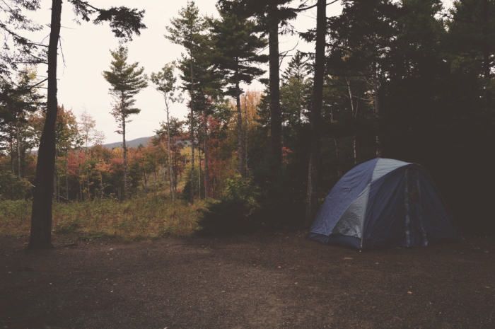 CAMPING IN THE MAINE WOODS