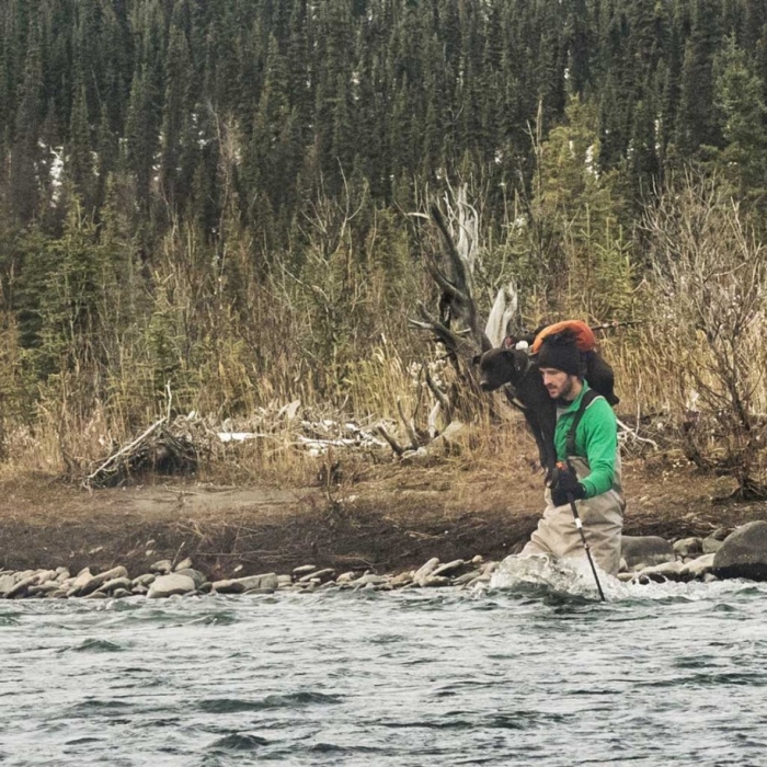 Crossing the Teklanika River