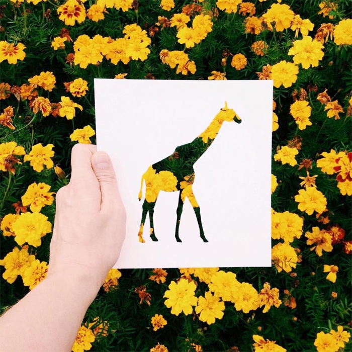 animal-paper-cutout-silhouettes-nikolai-tolstyh -3