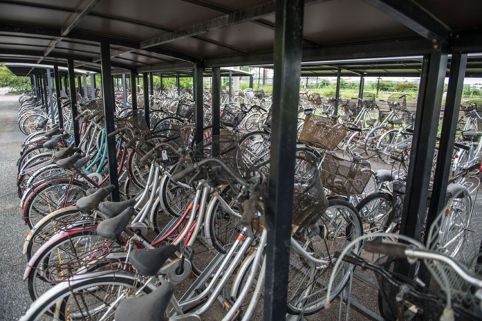 nature-reclaim-fukushima-exclusion-zone-photos-arkadiusz-podniesinski-11