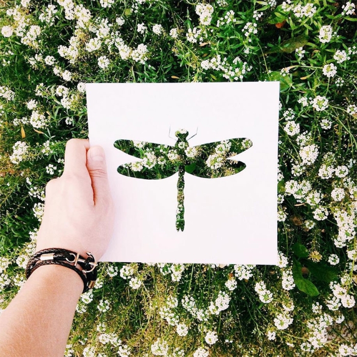 animal-paper-cutout-silhouettes-nikolai-tolstyh -2
