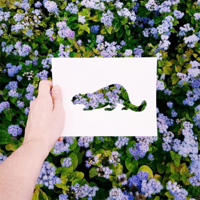 animal-paper-cutout-silhouettes-nikolai-tolstyh -13