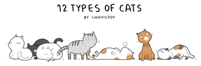 animal-illustrations-12-types-cats-lingvistov-14