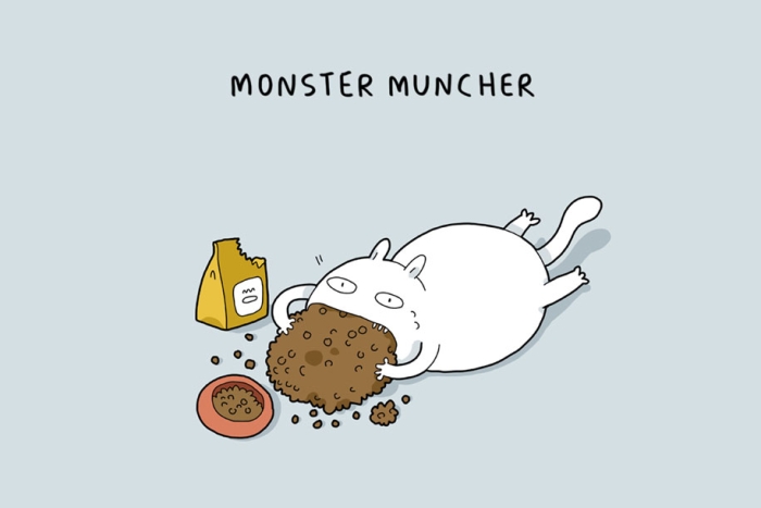 animal-illustrations-12-types-cats-lingvistov-13