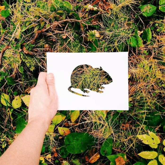 animal-paper-cutout-silhouettes-nikolai-tolstyh -12