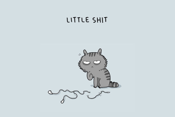 animal-illustrations-12-types-cats-lingvistov-12