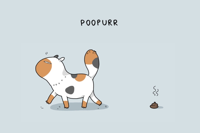 animal-illustrations-12-types-cats-lingvistov-10