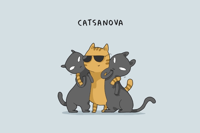 animal-illustrations-12-types-cats-lingvistov-7