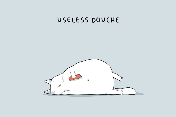 animal-illustrations-12-types-cats-lingvistov-4