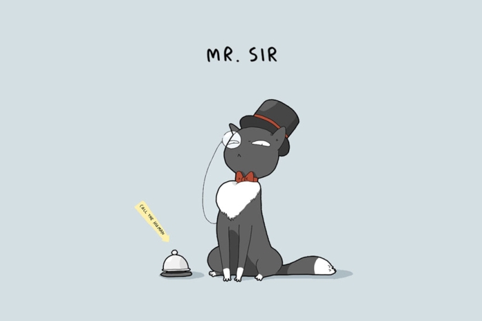 animal-illustrations-12-types-cats-lingvistov-6
