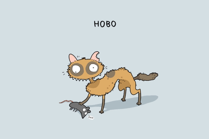 animal-illustrations-12-types-cats-lingvistov-8