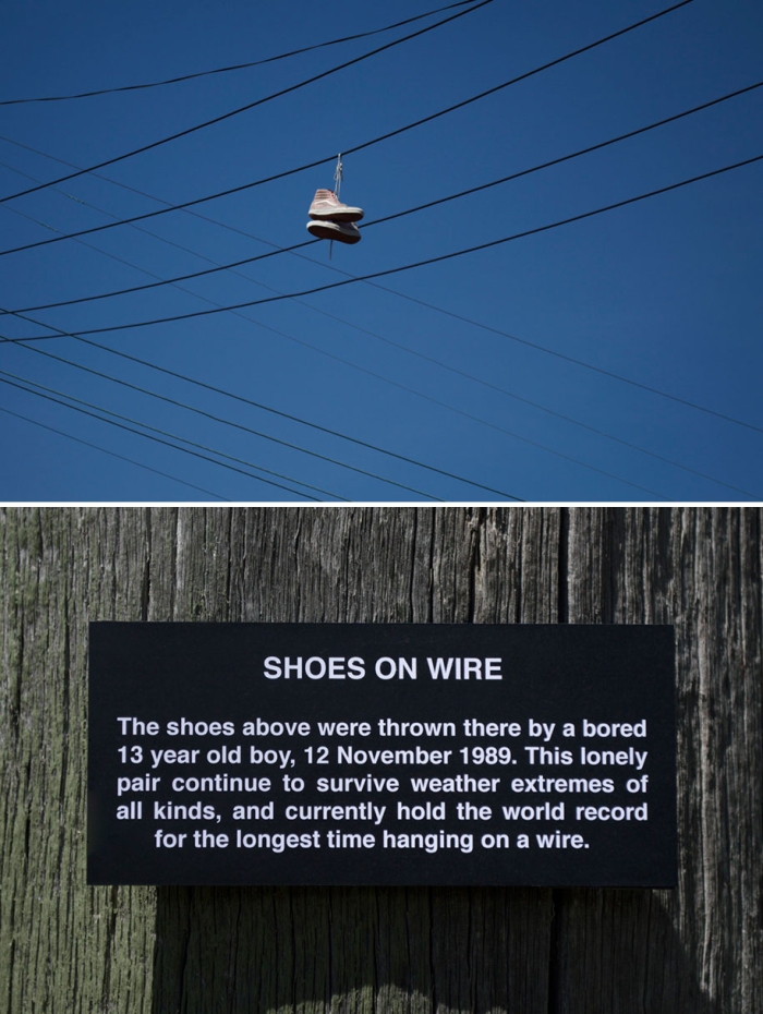 funny-outdoor-urban-sign-jokes-miguel-marquez-australia-3