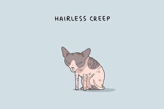 animal-illustrations-12-types-cats-lingvistov-5