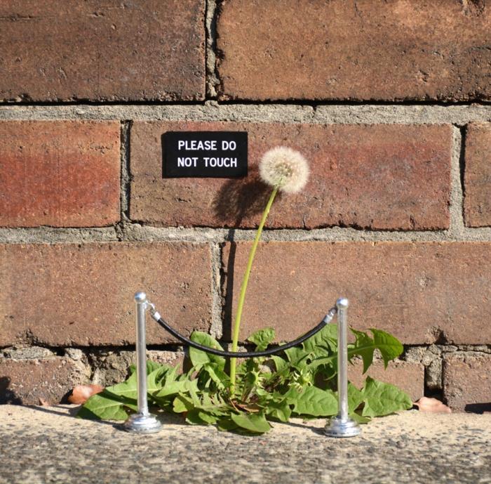 funny-outdoor-urban-sign-jokes-miguel-marquez-australia-7