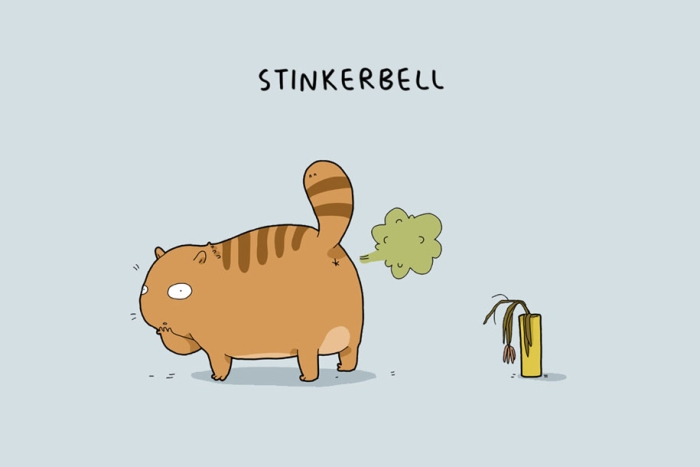animal-illustrations-12-types-cats-lingvistov-3