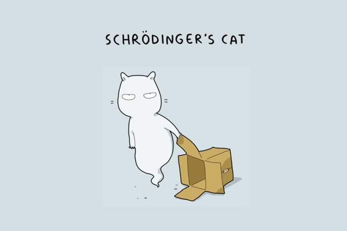 animal-illustrations-12-types-cats-lingvistov-2
