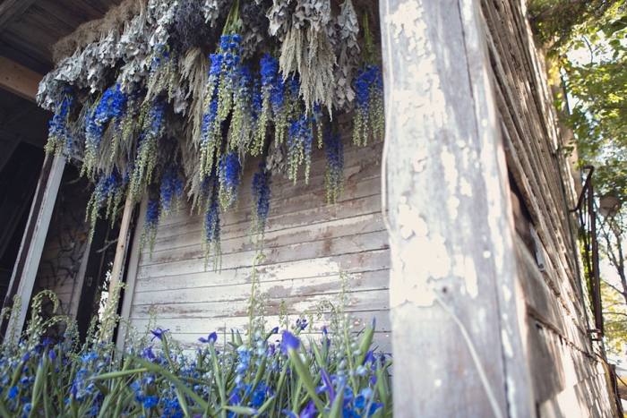 abandoned-house-transformed-flower-house-lisa-waud-heather-saunders-15