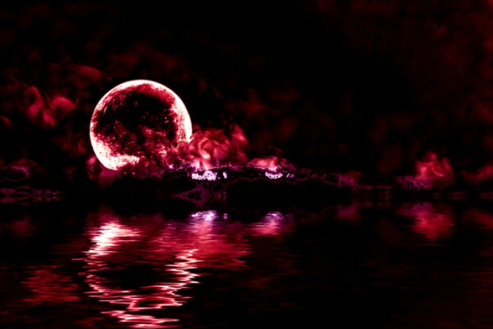 Winter Moonrise