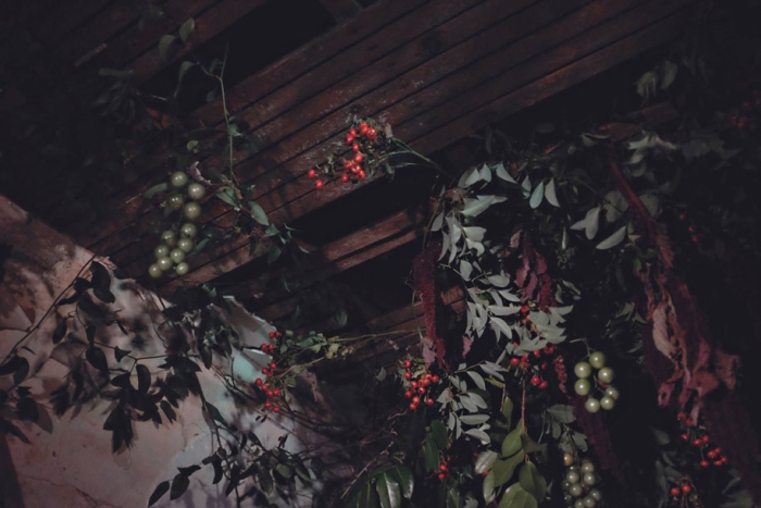 abandoned-house-transformed-flower-house-lisa-waud-heather-saunders-28