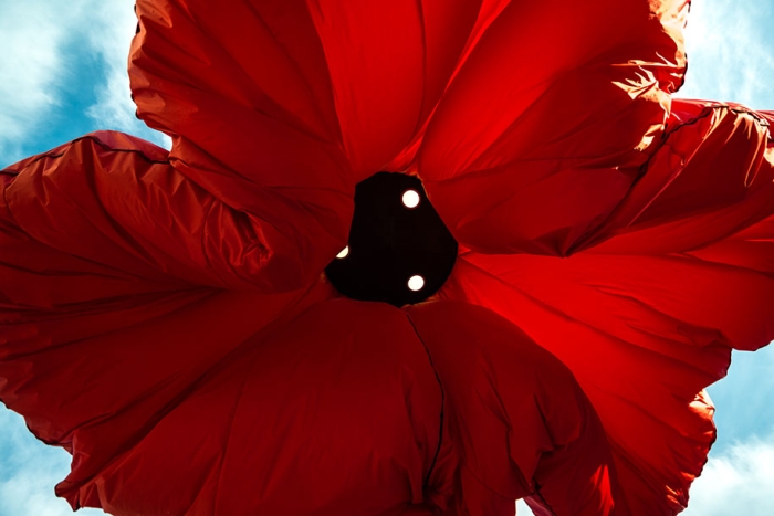 motion-activated-inflating-flowers-warde-hq-architects-jerusalem-2