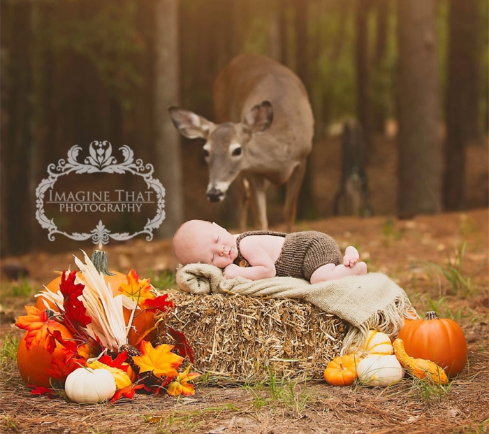 maggie-deer-newborn-photoshoot-photobomb-megan-rion-imagine-that-1