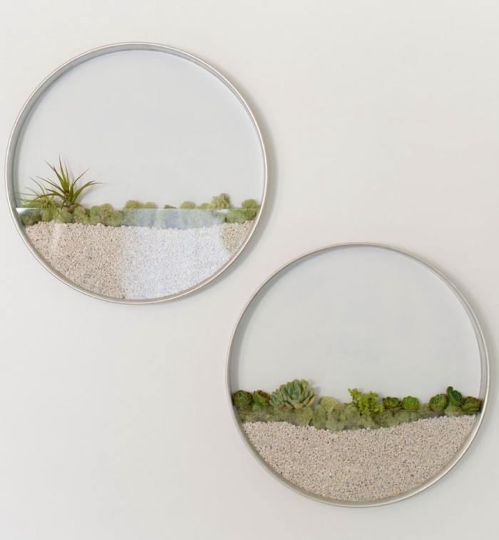 circular-vertical-planter-succulents-air-plaints-kim-fisher-1