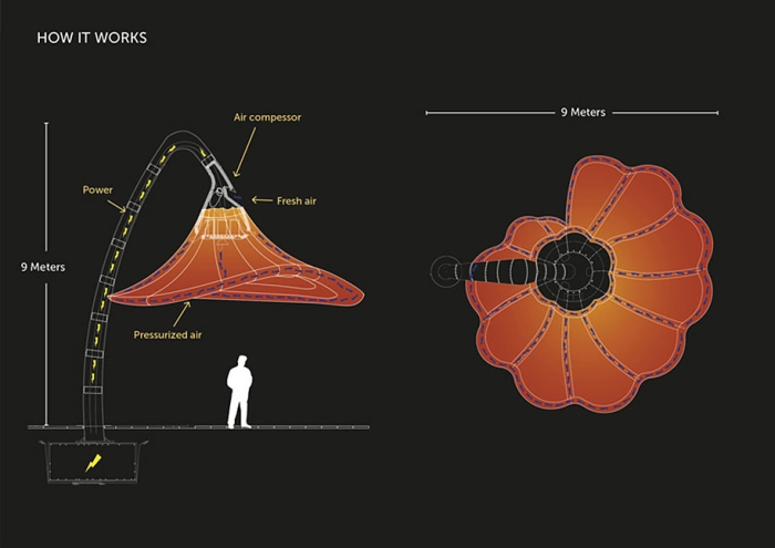 motion-activated-inflating-flowers-warde-hq-architects-jerusalem-6