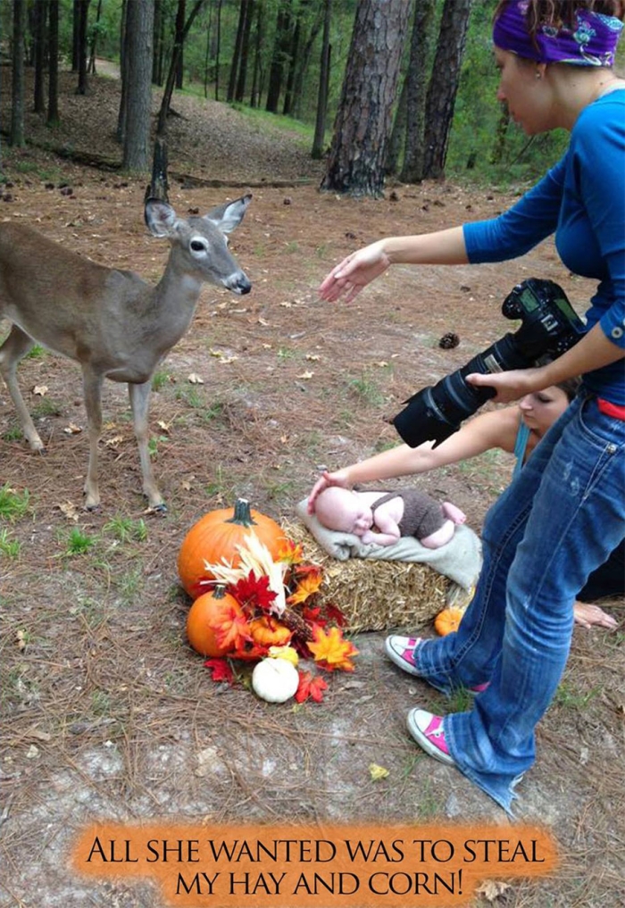 maggie-deer-newborn-photoshoot-photobomb-megan-rion-imagine-that-5