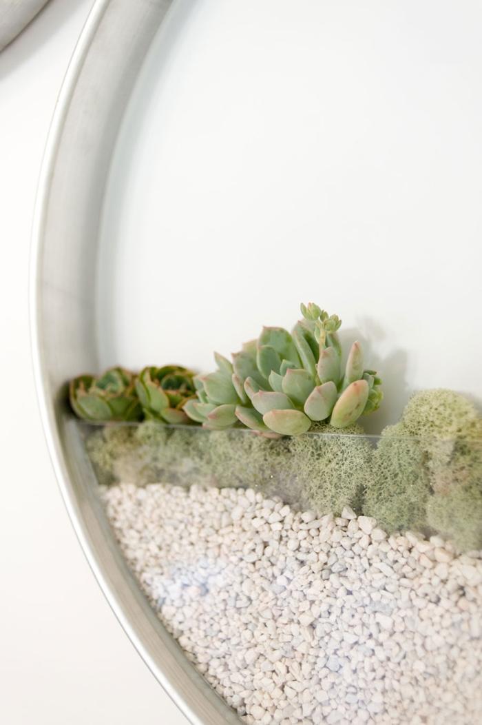 circular-vertical-planter-succulents-air-plaints-kim-fisher-2