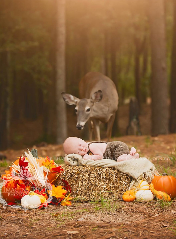 maggie-deer-newborn-photoshoot-photobomb-megan-rion-imagine-that-3