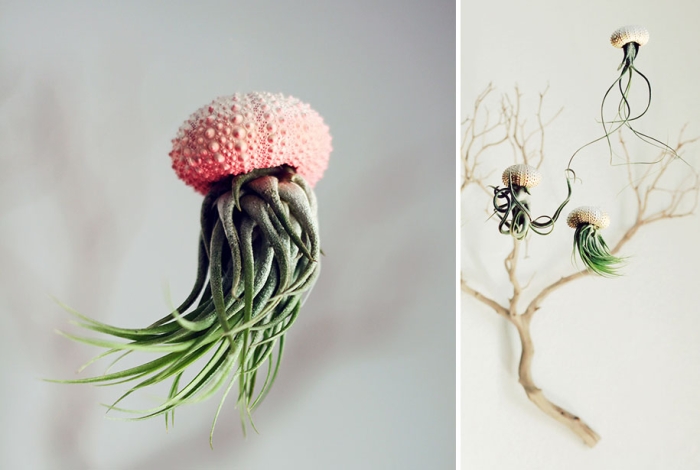 great-funny-crazy-modern-plant-pot-planter-ideas-4