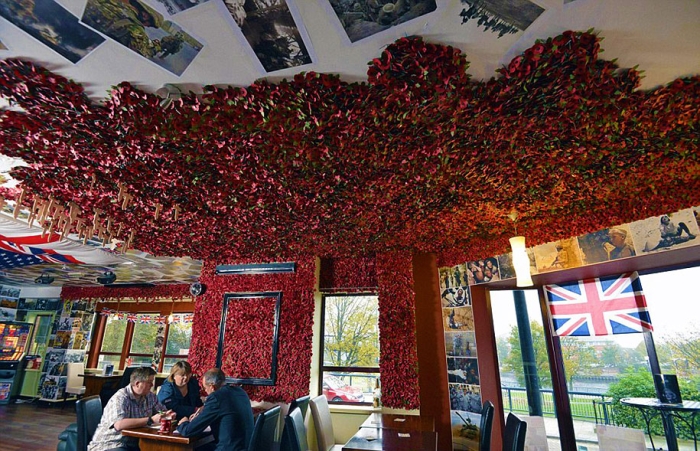 remembrance-day-veteran-soldier-memorial-poppies-julia-cooper-don-pub-11