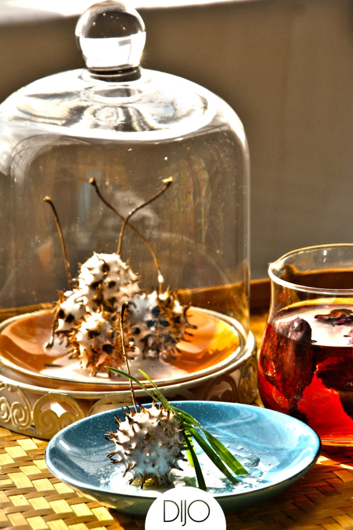 bushed tea sundays