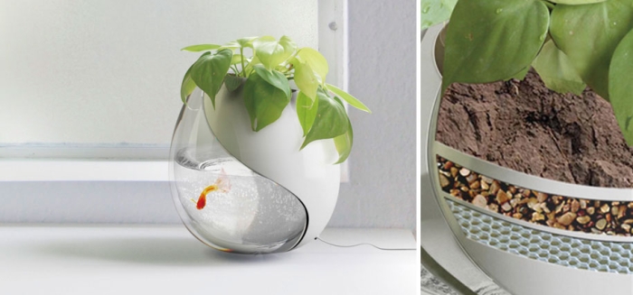 great-funny-crazy-modern-plant-pot-planter-ideas-3