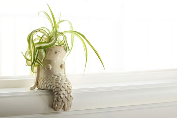 great-funny-crazy-modern-plant-pot-planter-ideas-13