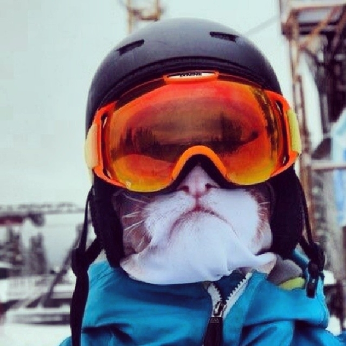 animal-face-balaclava-ski-mask-teya-salat-4