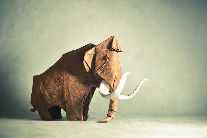 japanese-paper-folding-art-origami-day-3