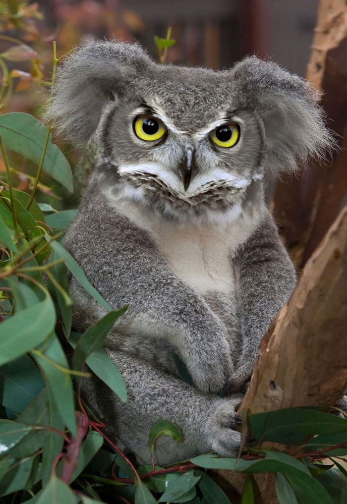 new-hybrid-animals-photoshop-30