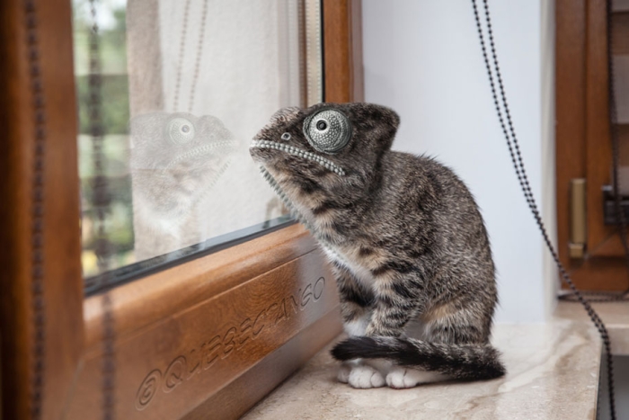new-hybrid-animals-photoshop-31