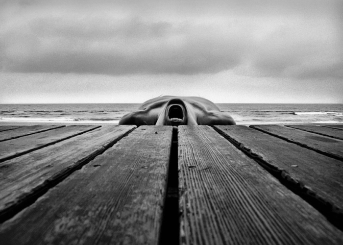 landscape-self-portrait-photography-body-arno-rafael-minkkinen-7