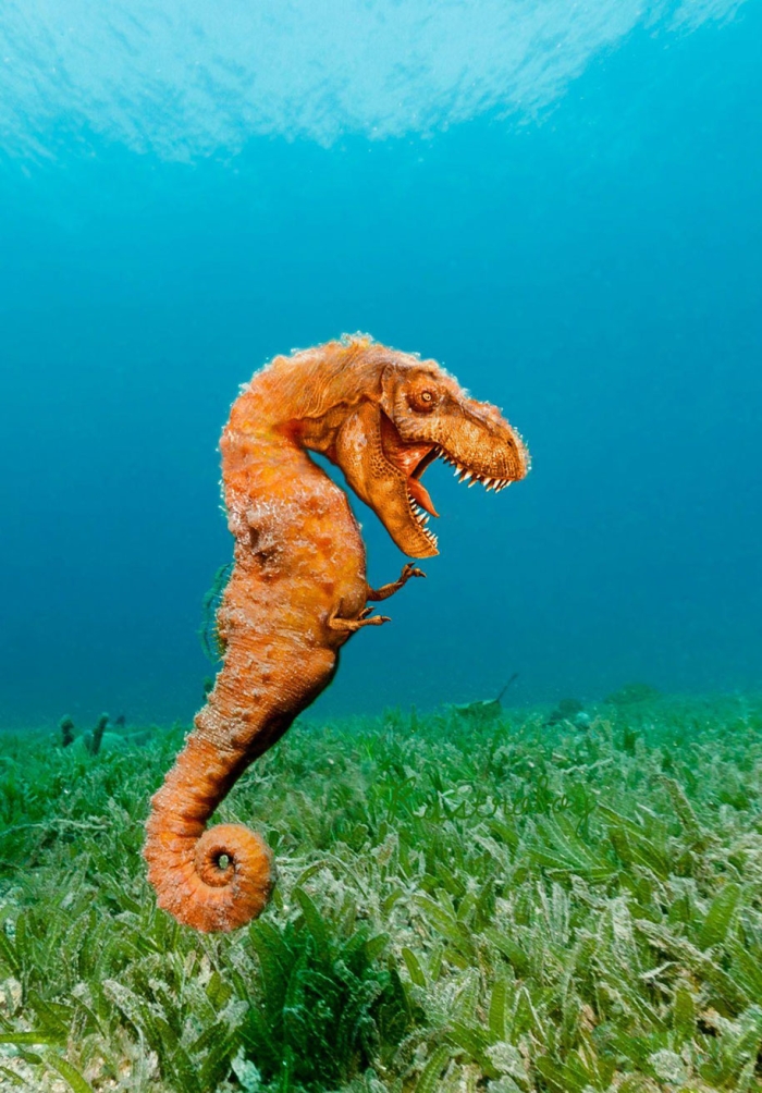 new-hybrid-animals-photoshop-38