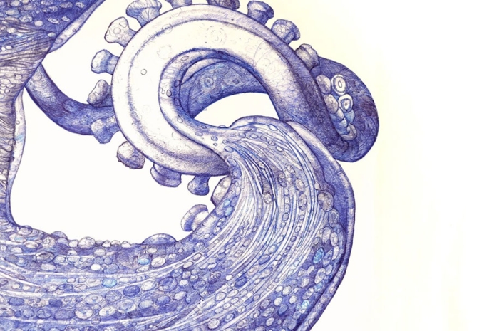 ballpoint-pen-drawing-deep-blue-octopus-raymond-cicin-3