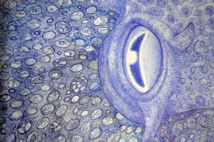 ballpoint-pen-drawing-deep-blue-octopus-raymond-cicin-1