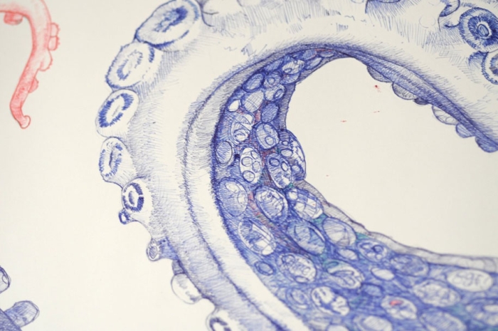 ballpoint-pen-drawing-deep-blue-octopus-raymond-cicin-4